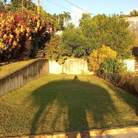 Charmant Appartement Verdoyant Le Morne-Vert 外观 照片