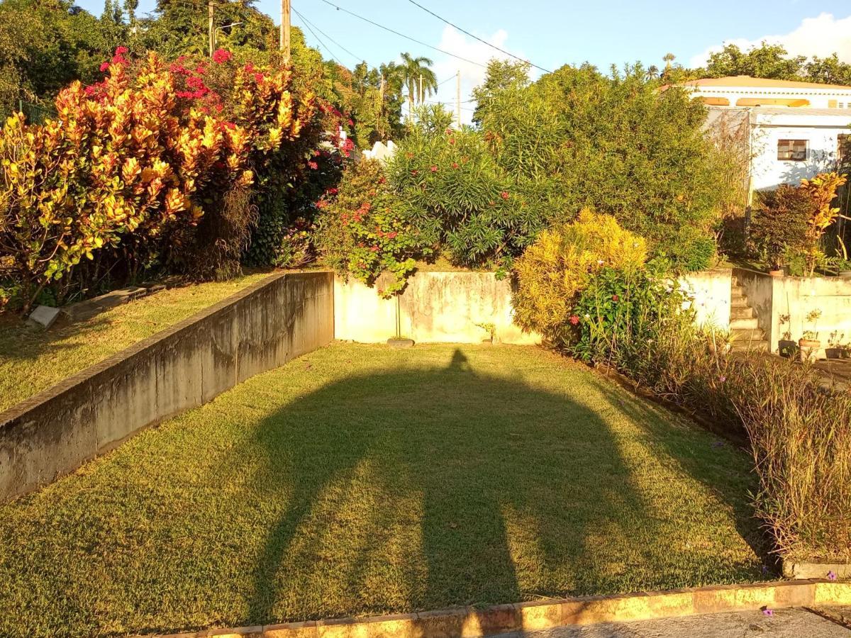 Charmant Appartement Verdoyant Le Morne-Vert 外观 照片